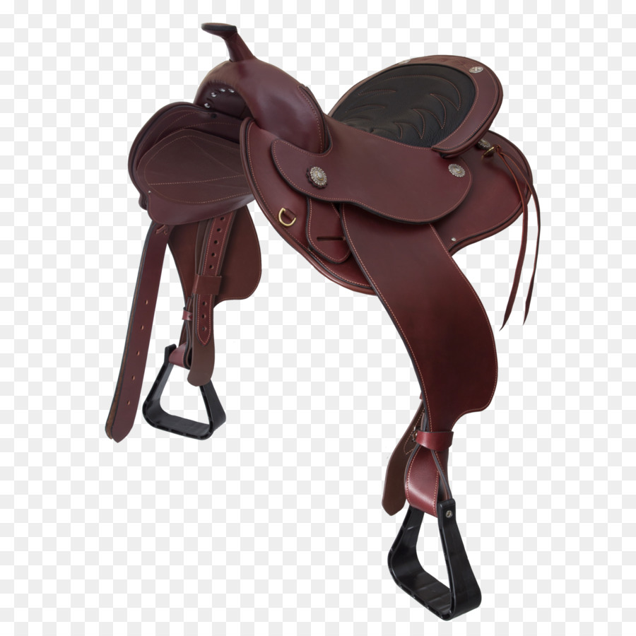 Sela，Passeios A Cavalo PNG