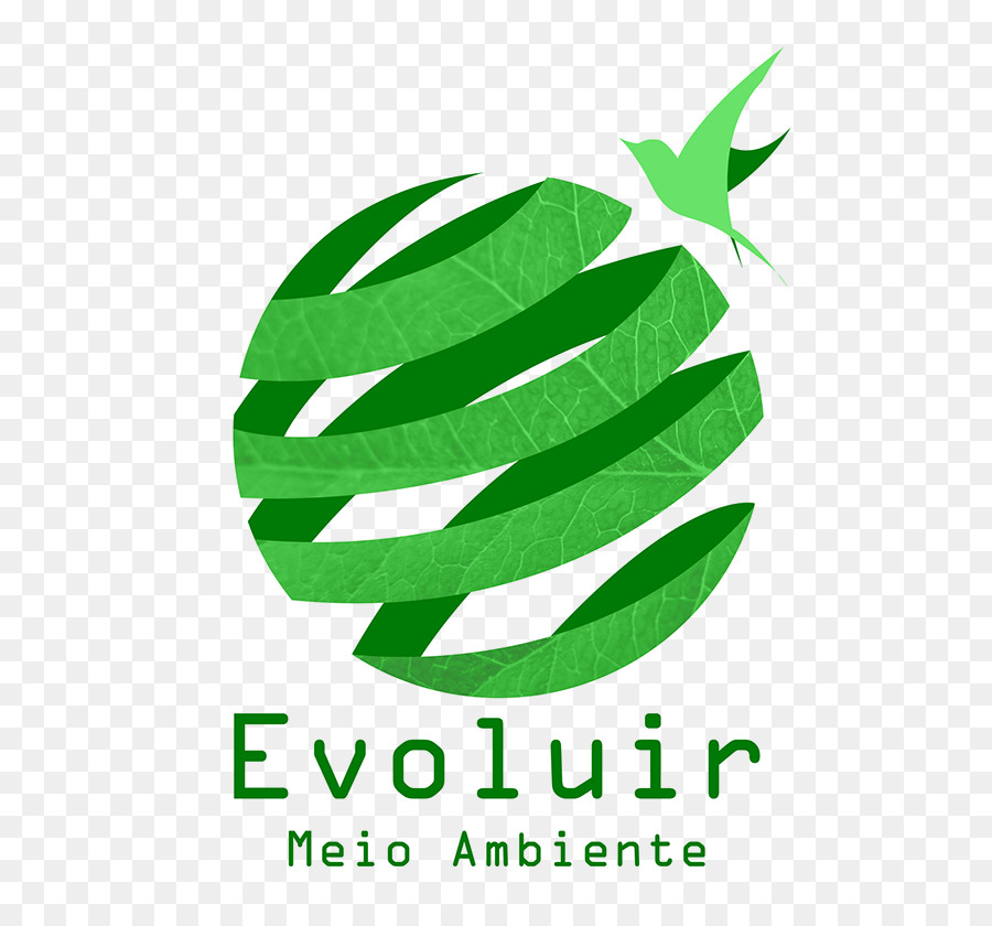 Logo，Folha PNG