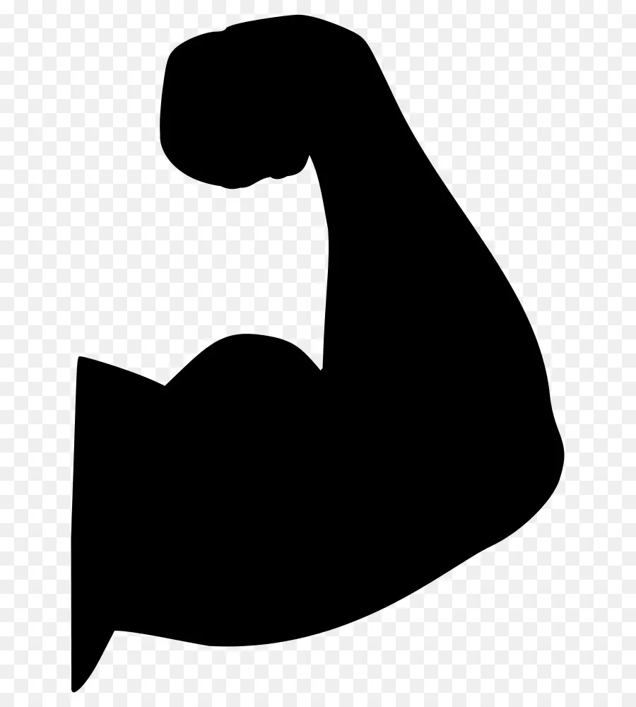 Bíceps，Muscular PNG