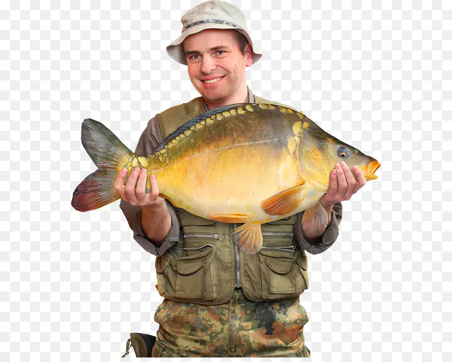 Pescador Com Peixe Grande，Pegar PNG