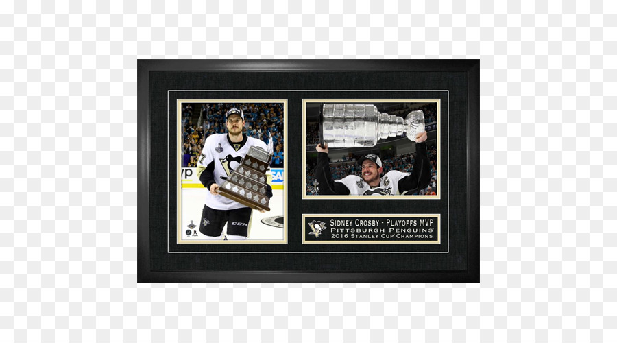 2016 Finais Da Stanley Cup，Pittsburgh Penguins PNG