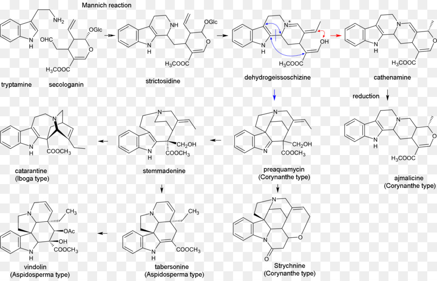 Estrutura Química，Molécula PNG