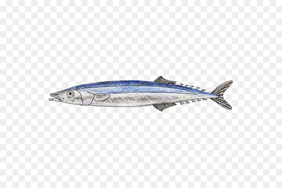 Peixe，Mar PNG