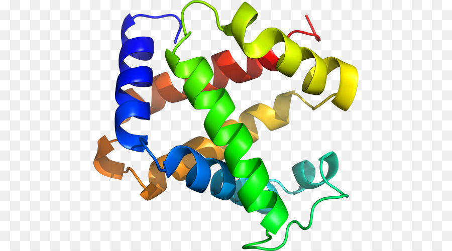 Estrutura Proteica，Biologia PNG