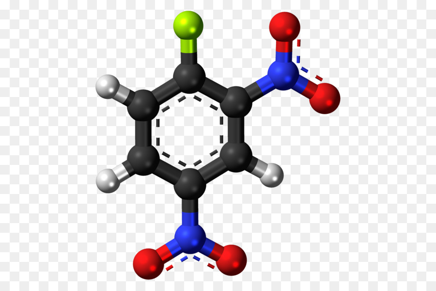 ácido Benzóico，Composto Químico PNG