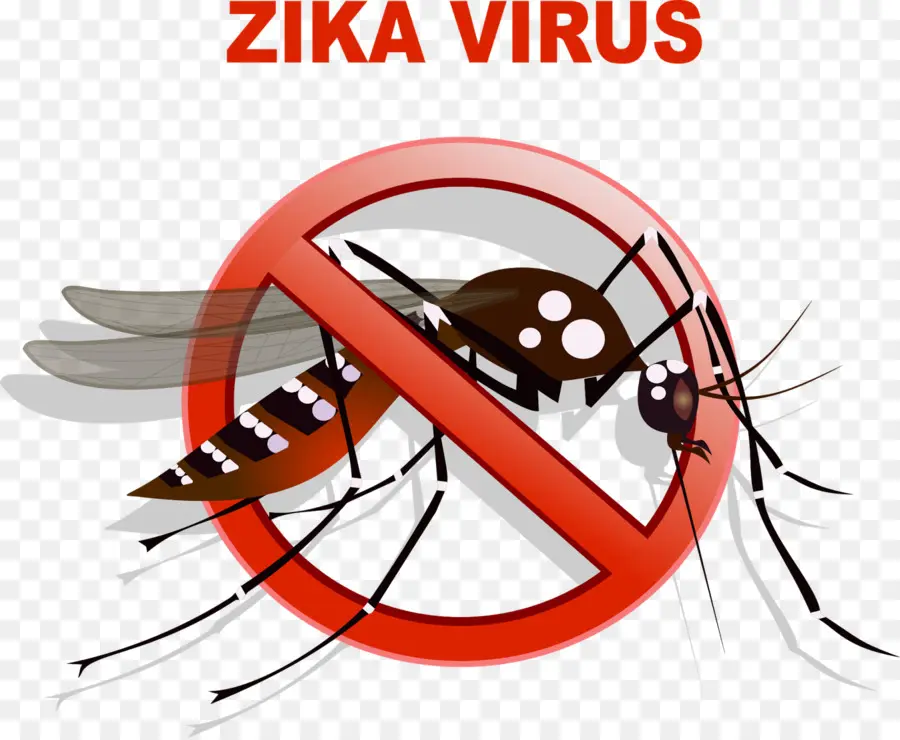 Mosquito，Vírus Zika PNG