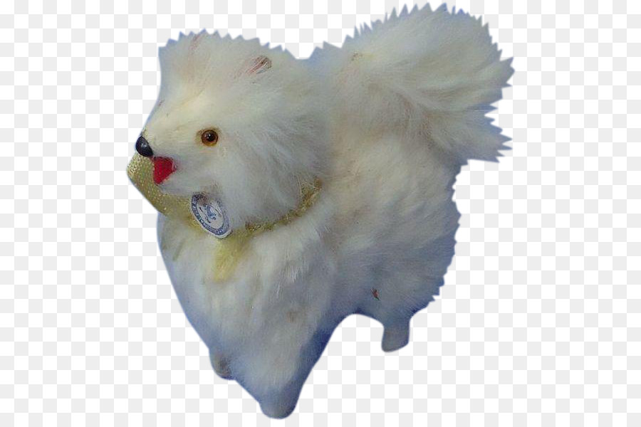 Pomeranian，Samoyed Cão PNG