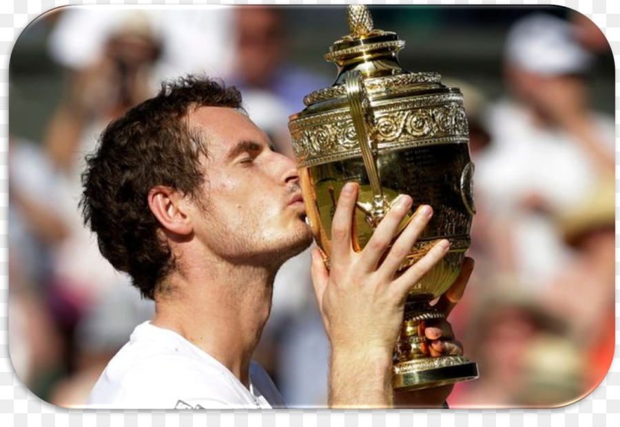 Andy Murray，2013 Campeonato De Wimbledon PNG