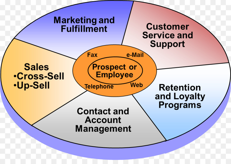 Gestão De Relacionamento Com Clientes，Organização PNG