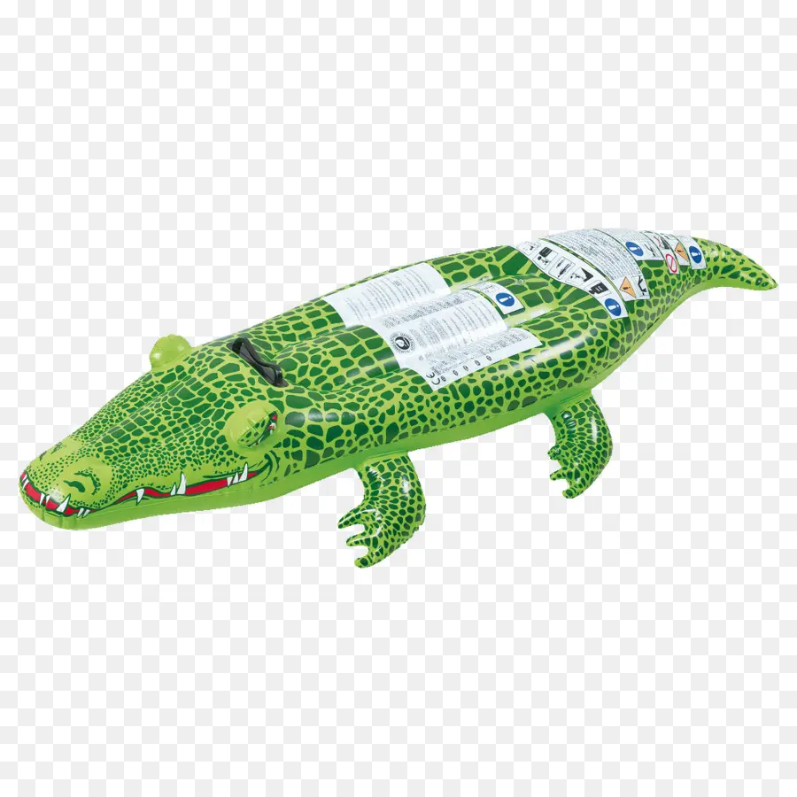 Crocodilo Inflável，Verde PNG