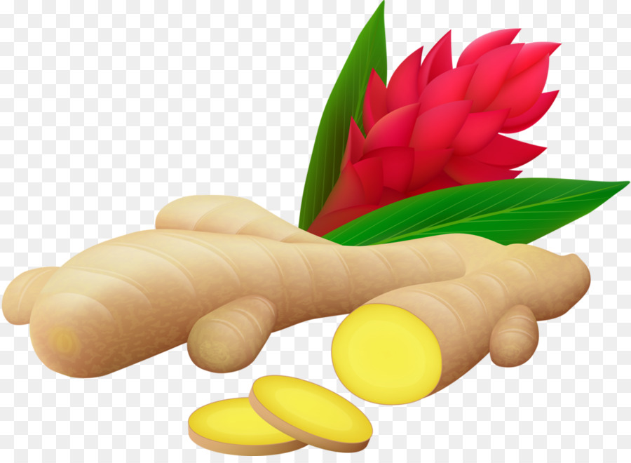 Vegetais De Raiz，Gengibre PNG