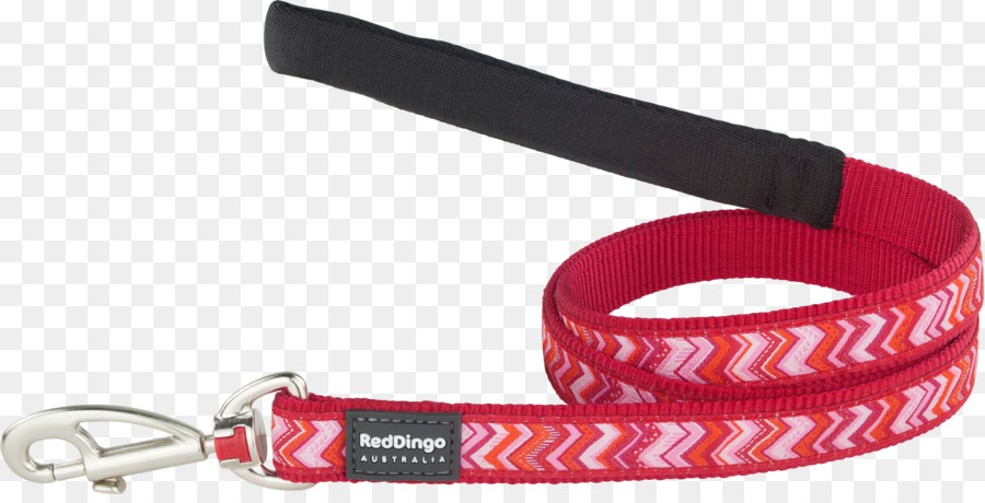 Leash，Correia PNG