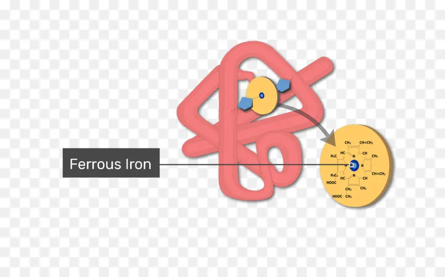 Ferro Ferroso，Molécula PNG