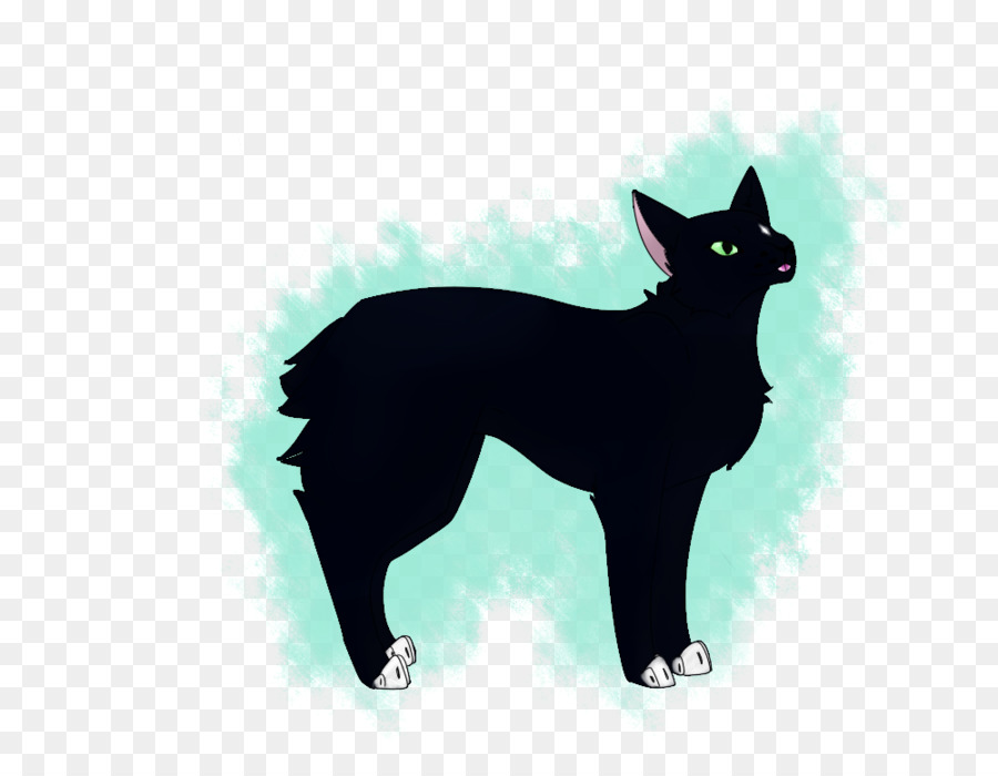 Schipperke，Bombay Gato PNG