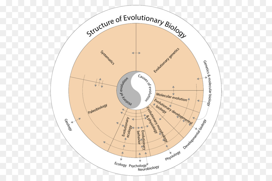 Gráfico De Biologia Evolutiva，Biologia PNG