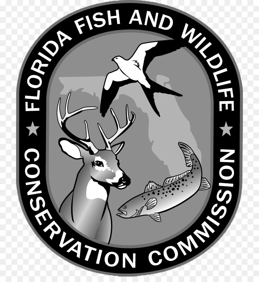 Florida Fish And Wildlife Comissão De Conservação，A Vida Selvagem PNG