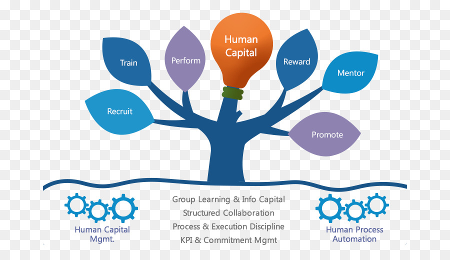 Diagrama De Capital Humano，Árvore PNG