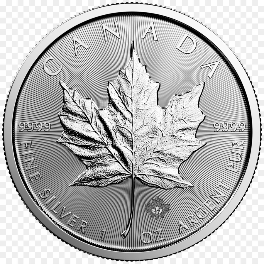 Canadense De Prata Maple Leaf，Canadense Maple Leaf De Ouro PNG