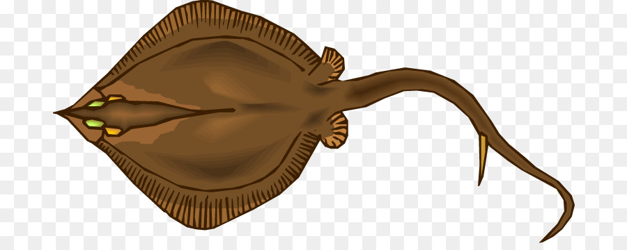 Myliobatoidei，Estuário Do Stingray PNG