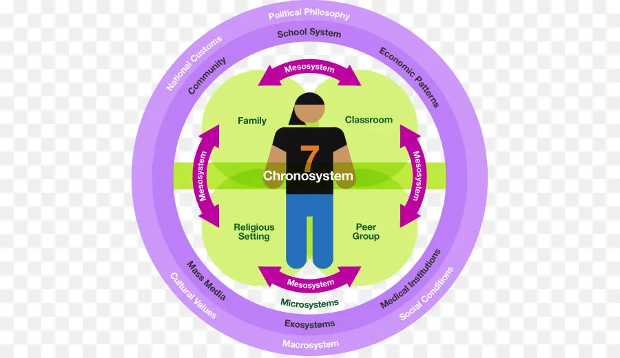 Diagrama De Sistemas Ecológicos，Cronossistema PNG