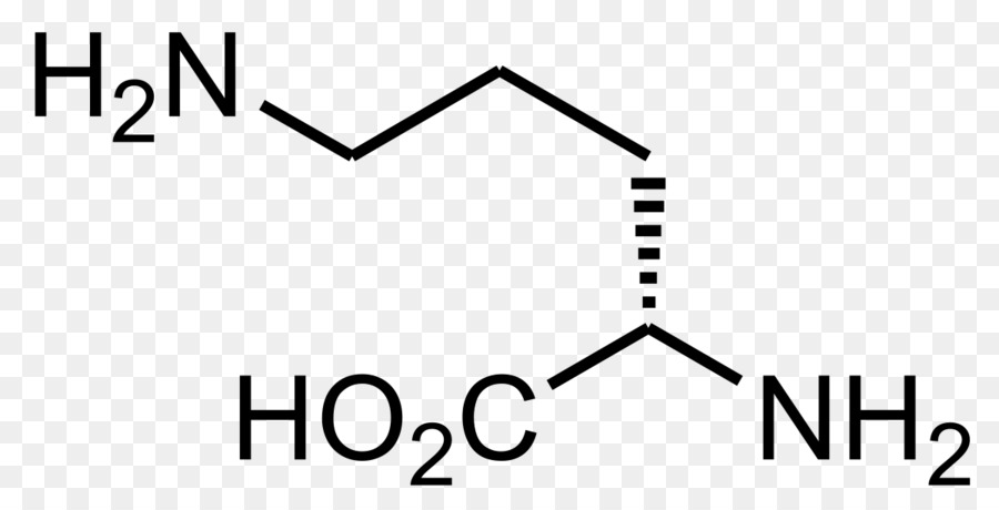 Estrutura Química，Molécula PNG