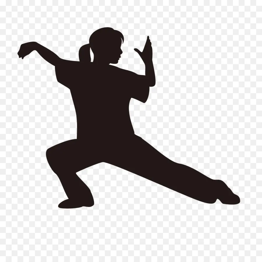 Tai Chi，太极功夫扇 PNG