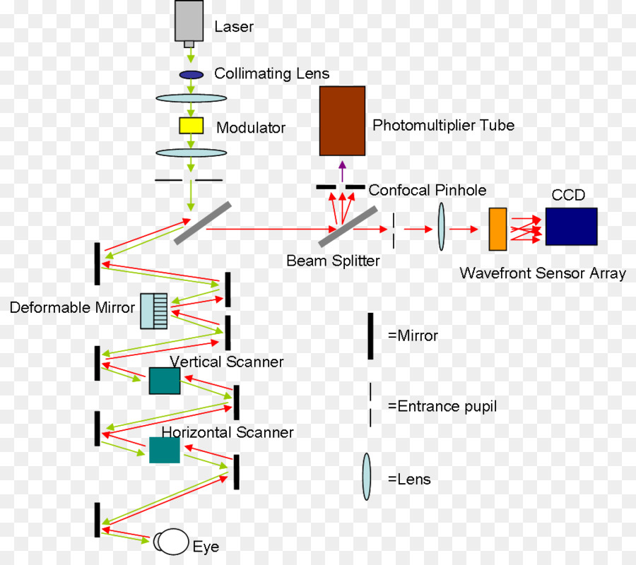 Oftalmoscopia，A Digitalização A Laser De Oftalmoscopia PNG