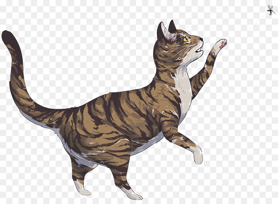 Gato，Felino PNG