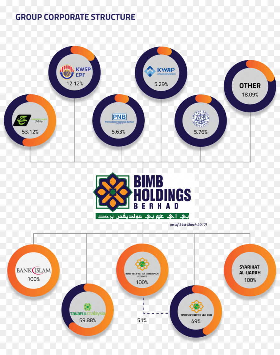 Bimb Holdings，Holding PNG