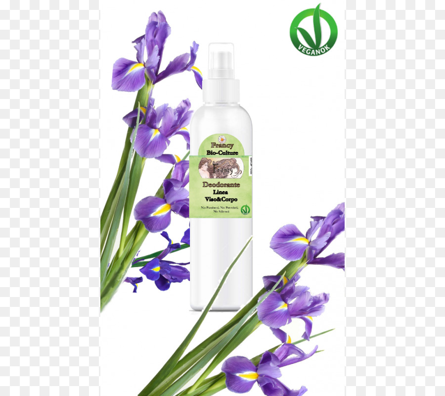 Lavanda，Violeta PNG