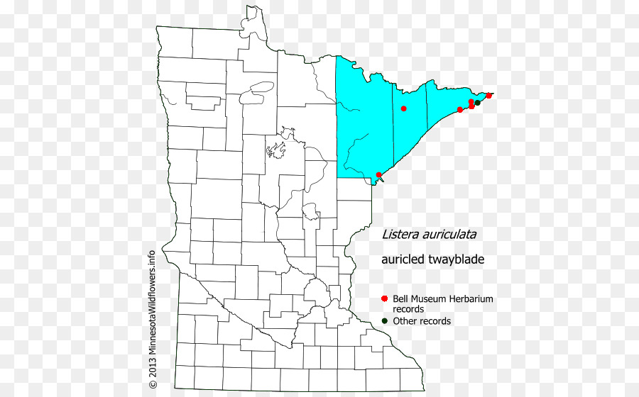 Pinheiro County Minnesota，Murray County Minnesota PNG