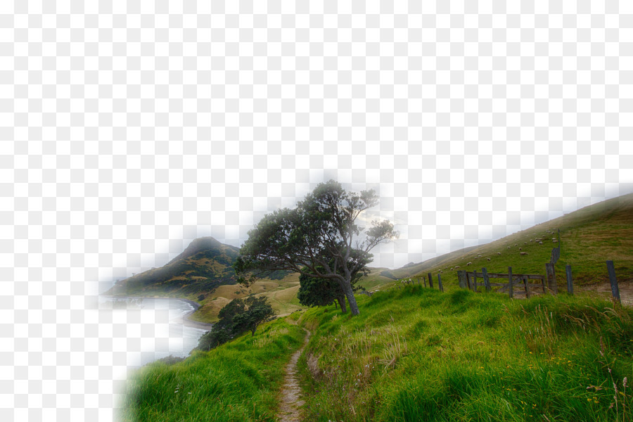 Caminho Rural，Natureza PNG