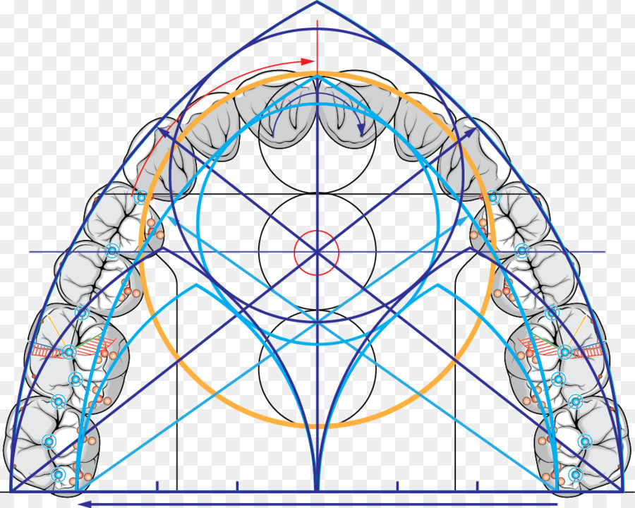 Simetria，Círculo PNG