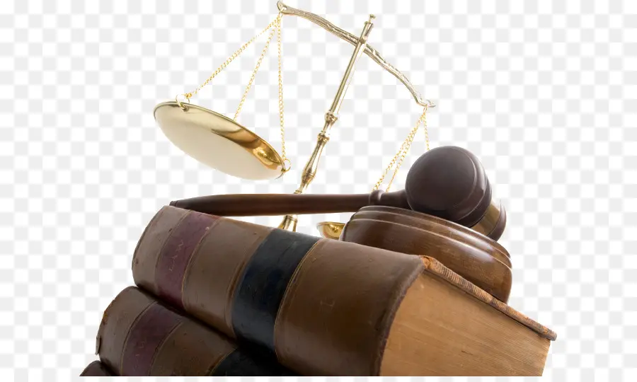 Escritórios De Advocacia De Tori Espinheiro Divórcio Advogado Falência Advogado，Advogado PNG