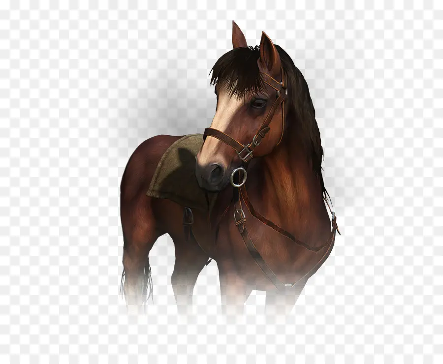 Mare，Cavalo PNG