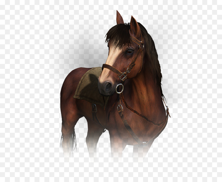 kisspng-mare-horse-stallion-geralt-of-rivia-the-witcher-3-vedmak-5b1bde50bff9e4.5169503815285530407864.jpg