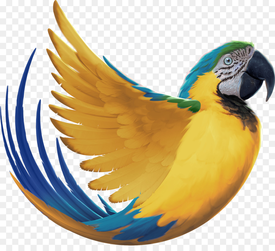 Periquito，Aves PNG