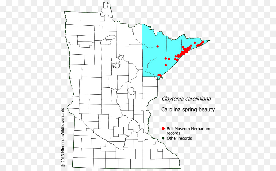 Murray County Minnesota，Pinheiro County Minnesota PNG