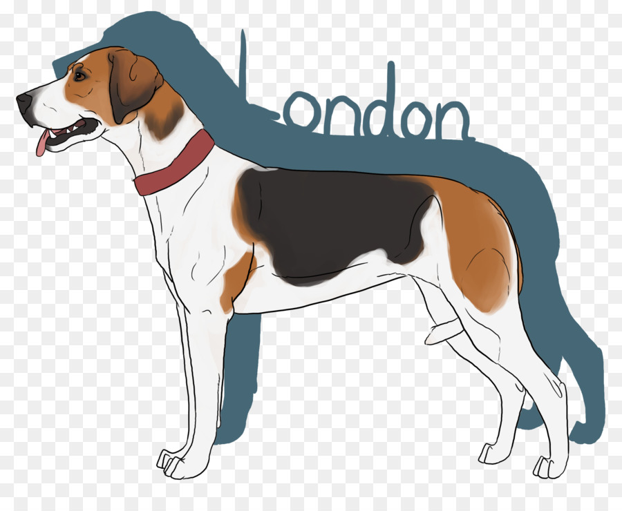 Treeing Walker Coonhound，American Foxhound PNG