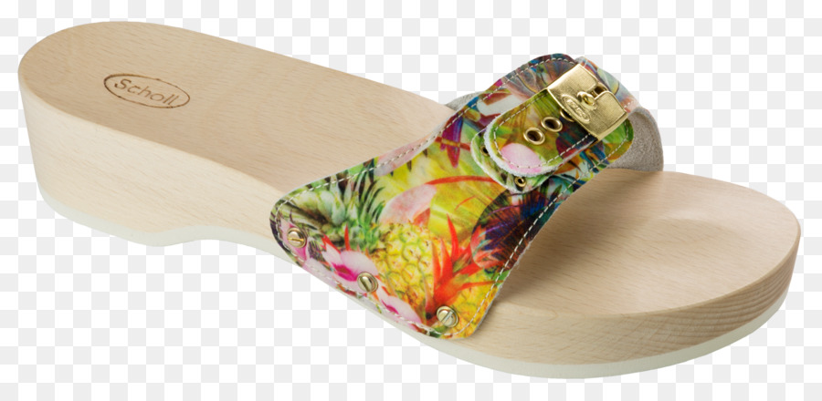 Flip Flops，Chinelo PNG