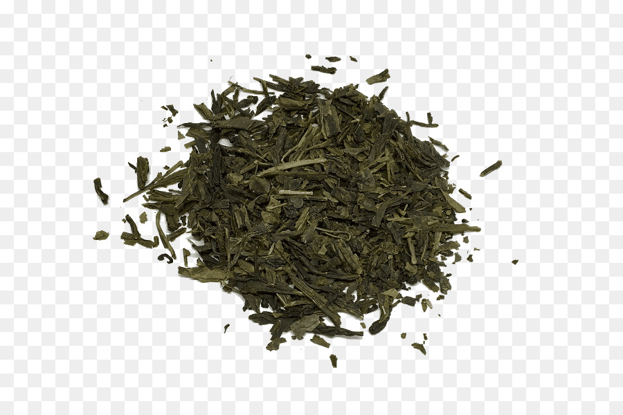 Gyokuro，Sencha PNG