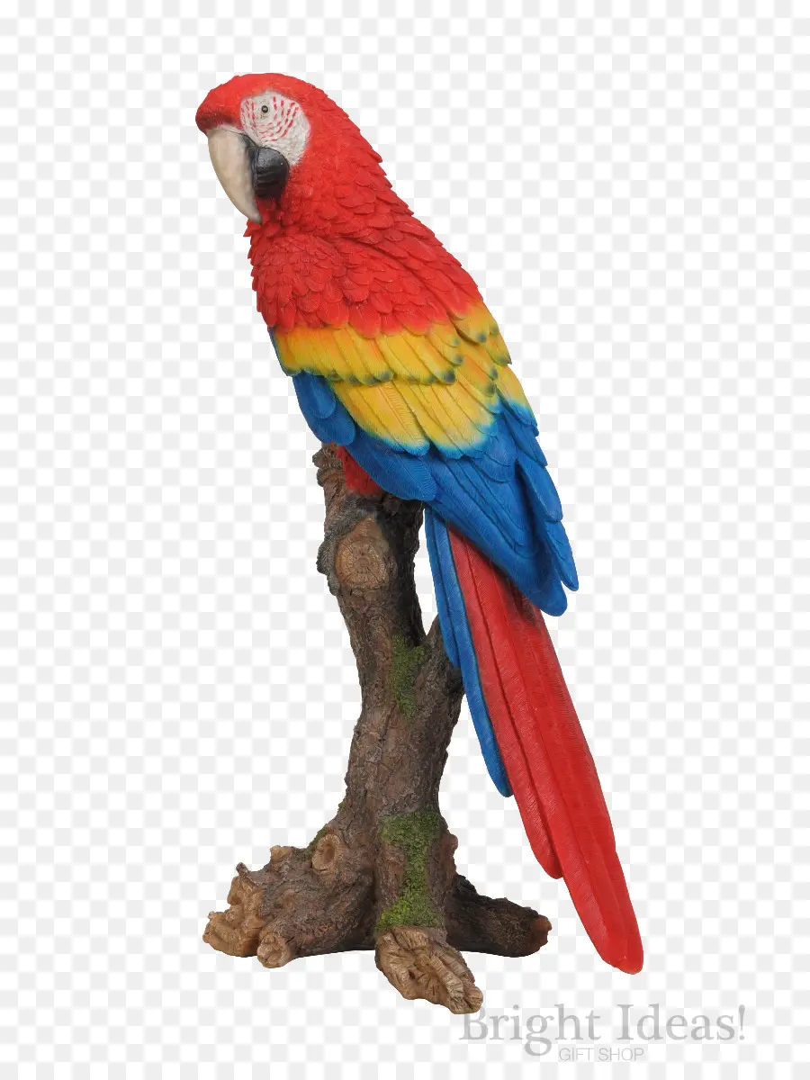 Virgerigar，Macaw PNG