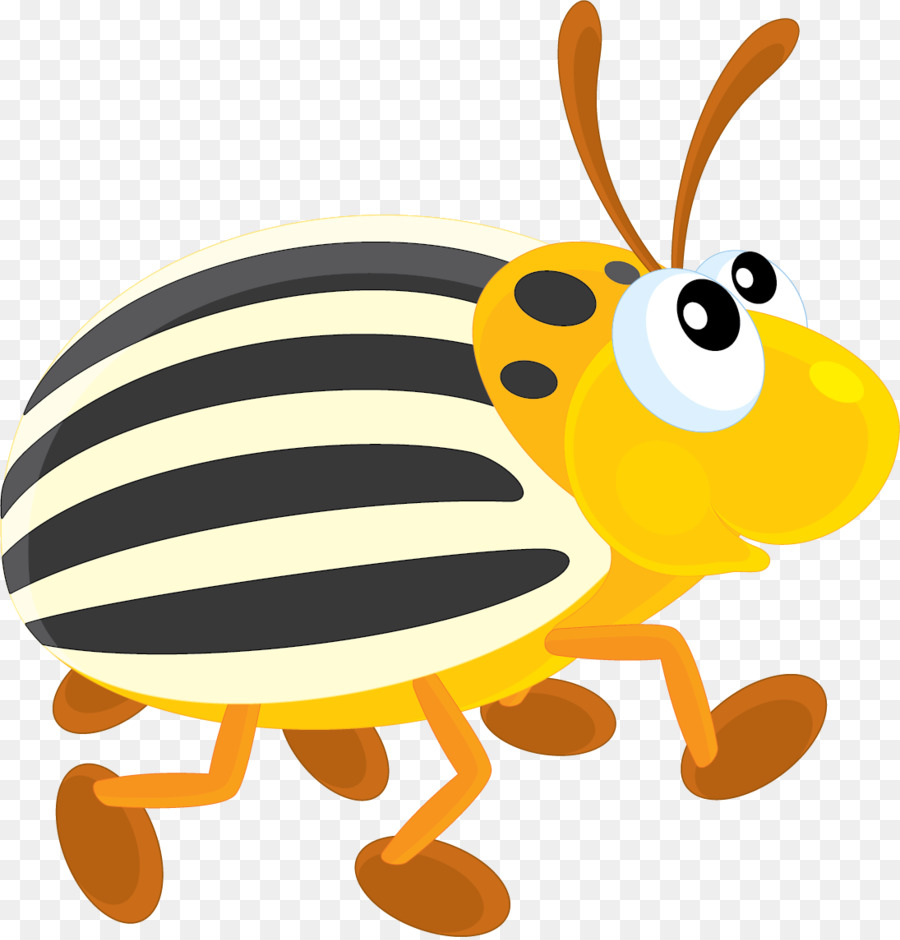 Bug De Desenho Animado，Inseto PNG