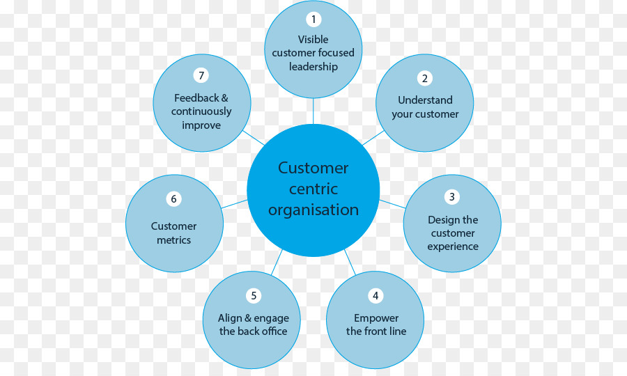 Organização，Cliente PNG