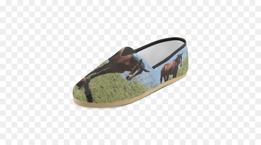 Chinelo，Slipon Sapato PNG