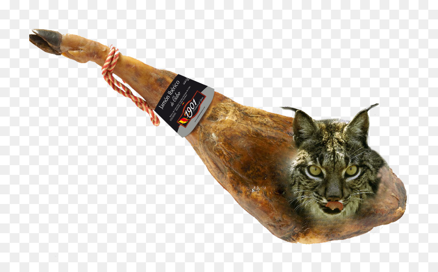 Black Iberian Pig，Ham PNG