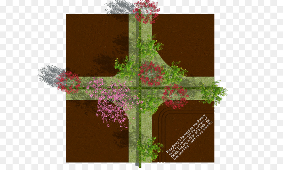 Design Floral，Religião PNG