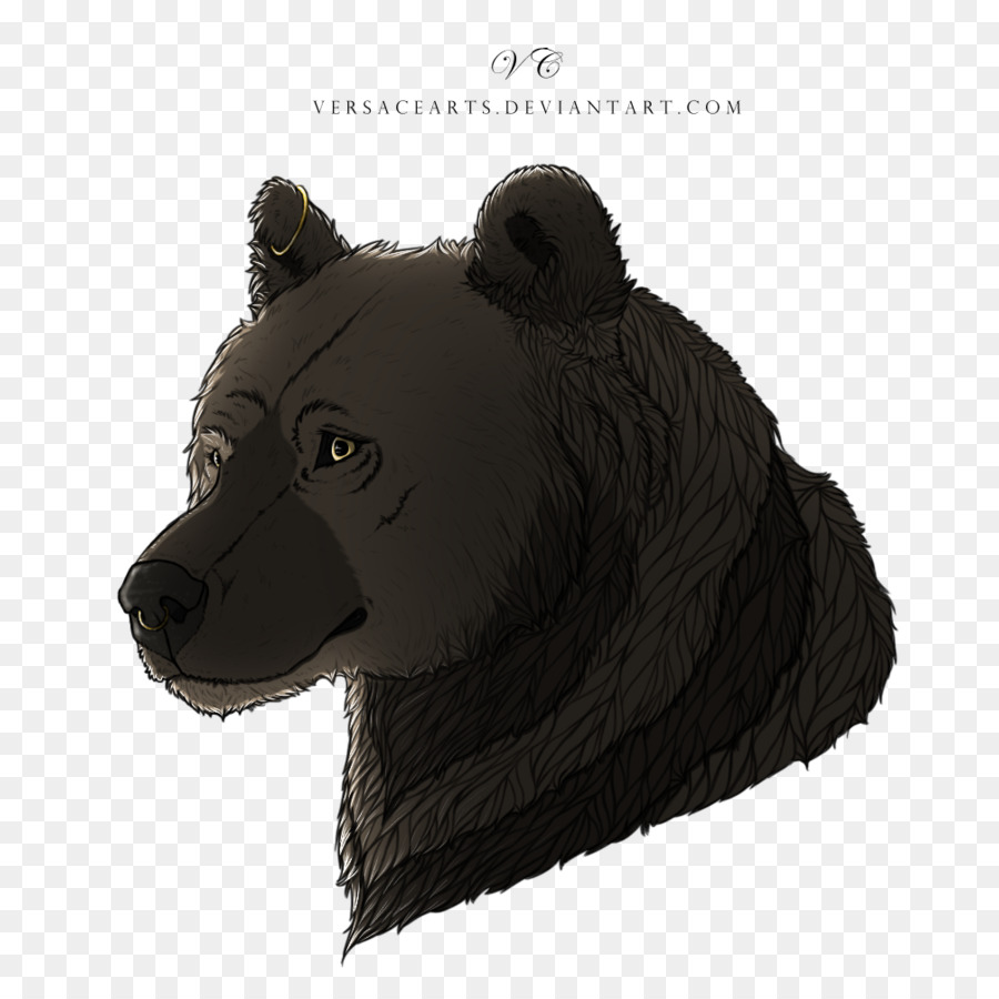 Urso，Pele PNG