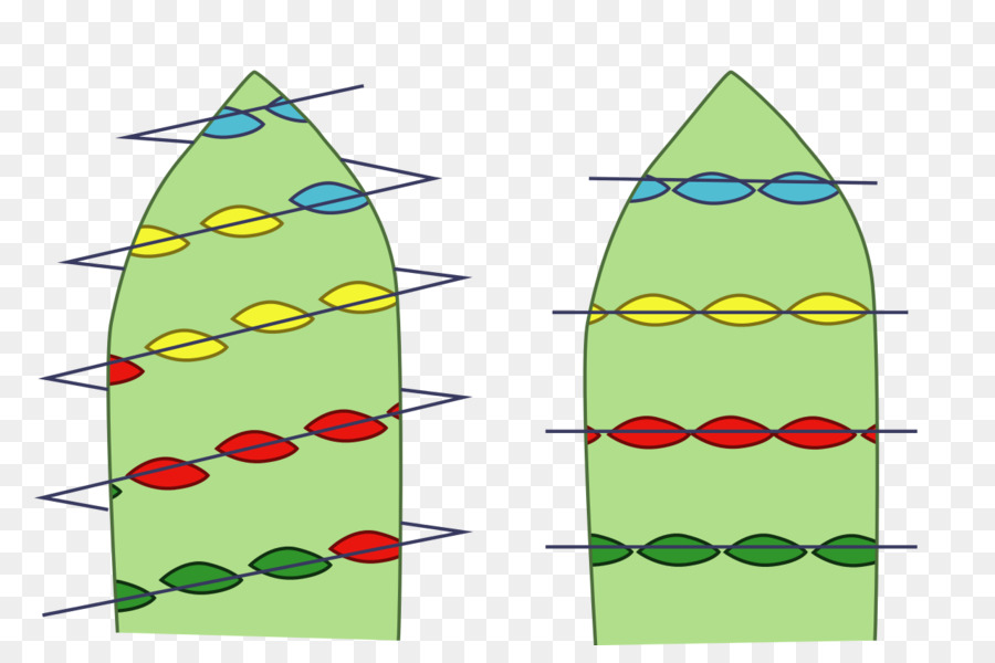 Verticilo，Folha PNG