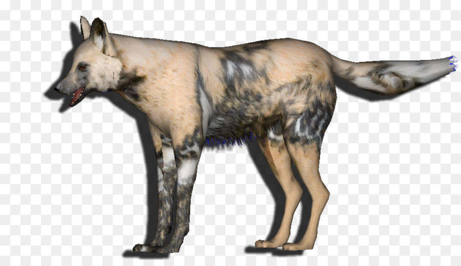 Cão，A Fauna PNG